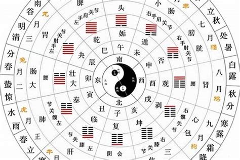 日干是什麼|日柱代表的是什么 天干與地支很關鍵